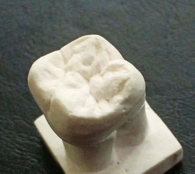 歯科理工学